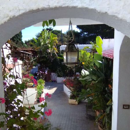 Le Case Di Vito Favignana Luaran gambar