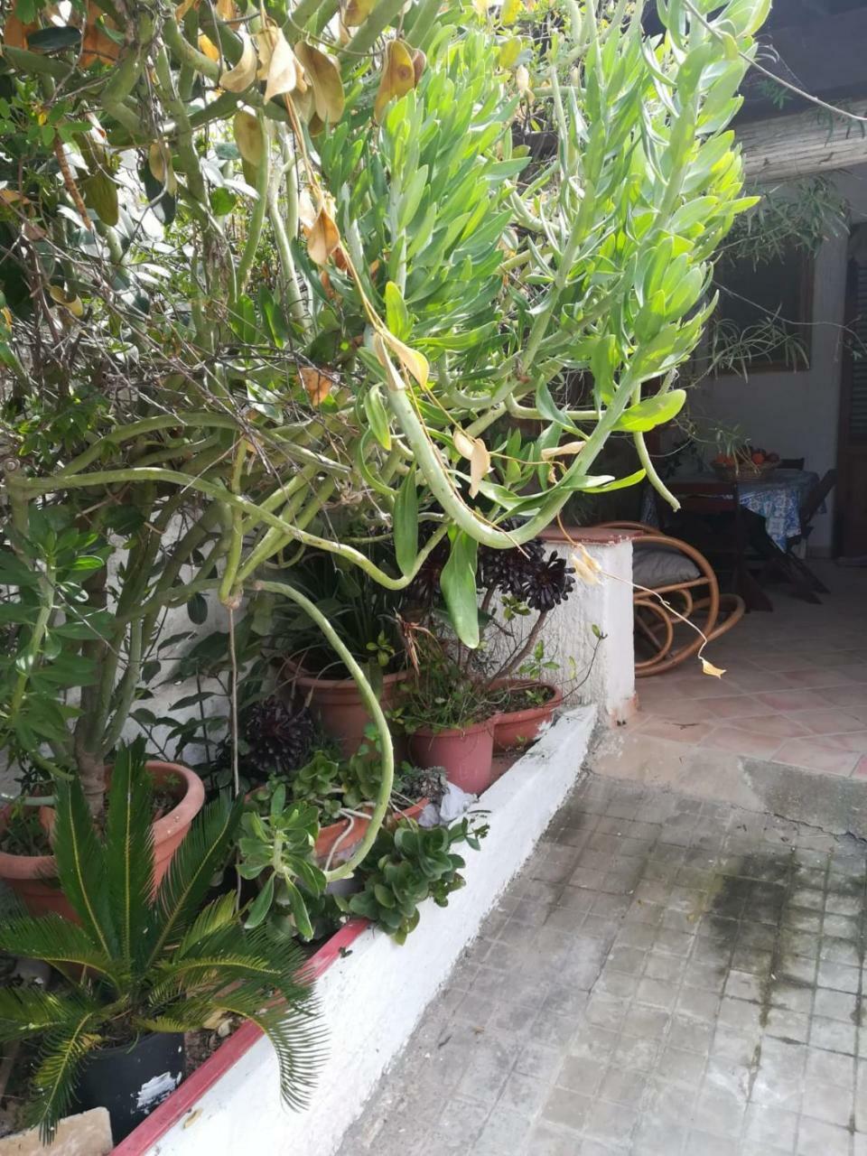 Le Case Di Vito Favignana Luaran gambar